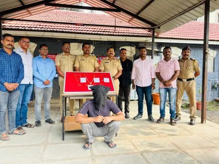 Daytime burglar arrested