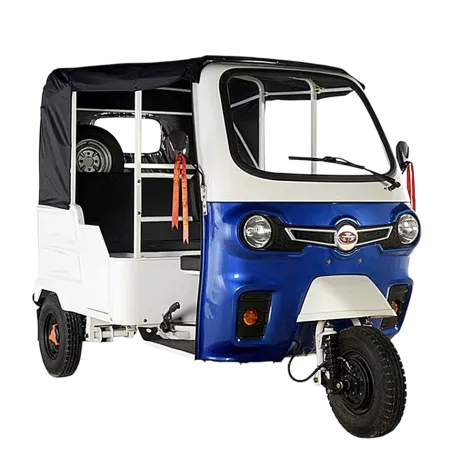 परवडणारी रिक्षा तरीही व्यवसायिकांमध्ये उदासीनता Despite affordable rickshaws, there is apathy among businessmen