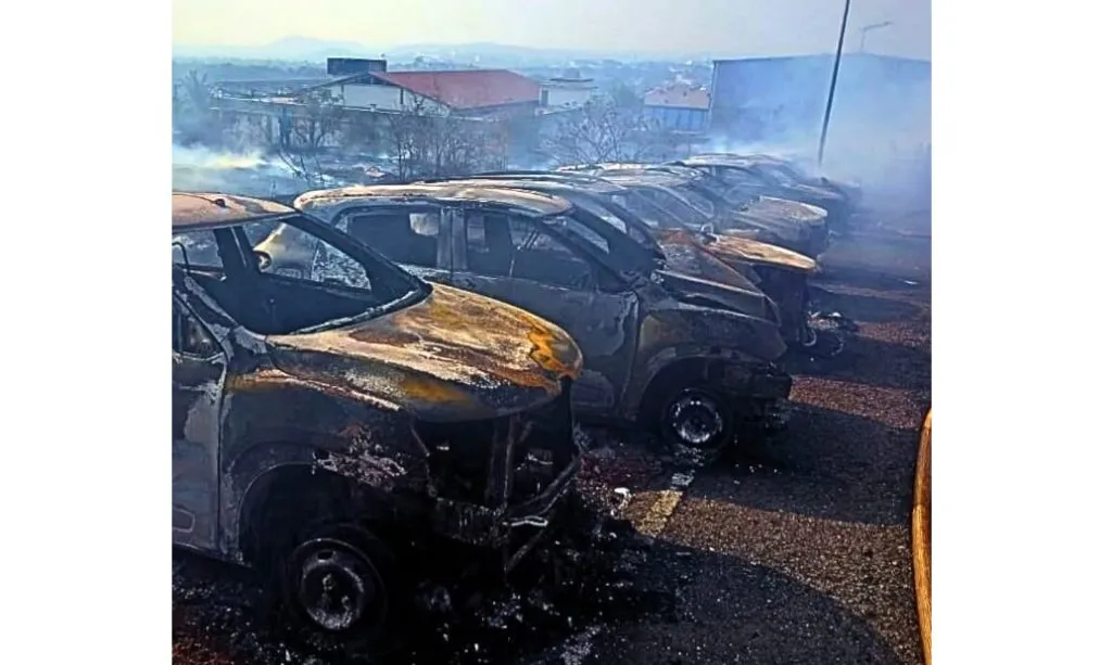 Will Verna open her eyes from the accident?