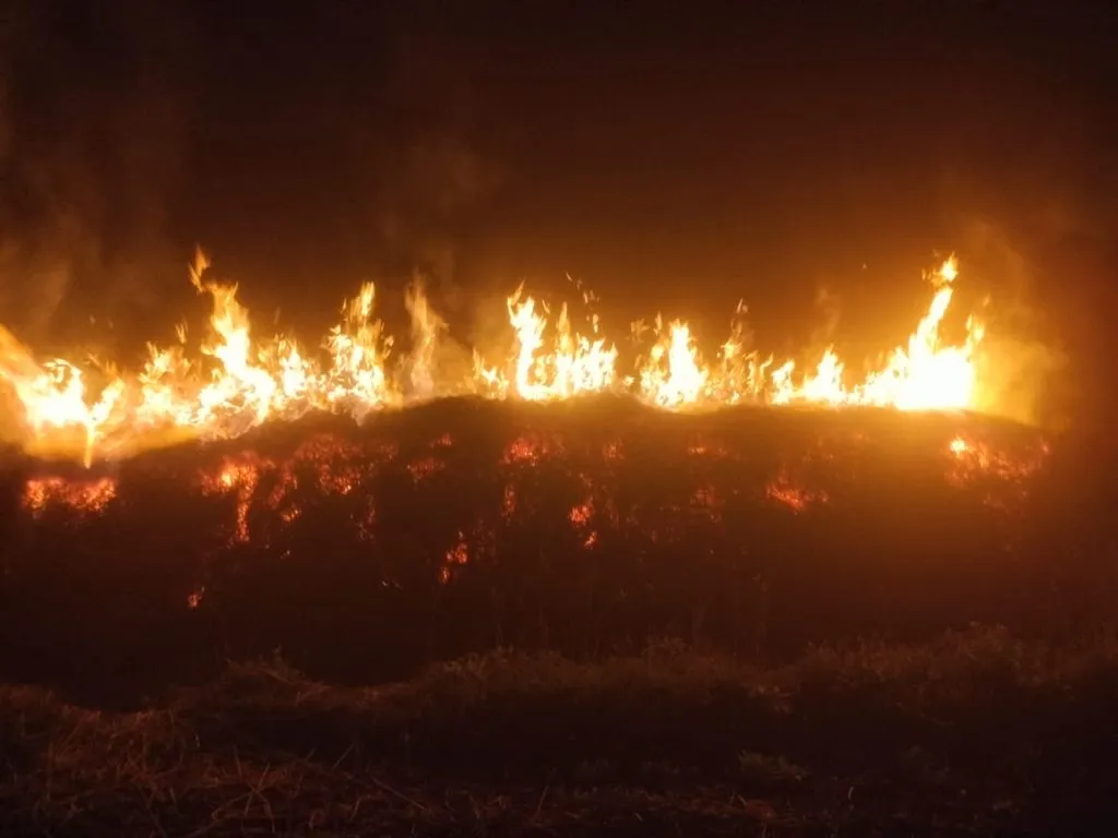 Drunk youths set fire to the haystack