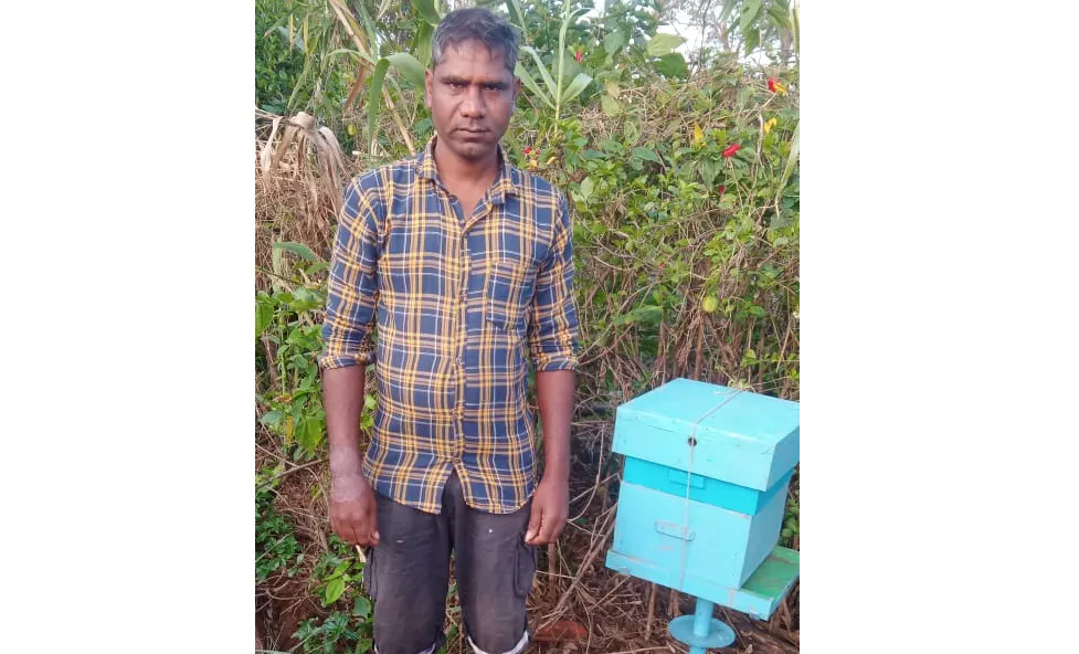 लोककल्पतर्फे ग्रामस्थांना मधमाशा पेट्यांचे दान Lokkalpa donates bee boxes to villagers