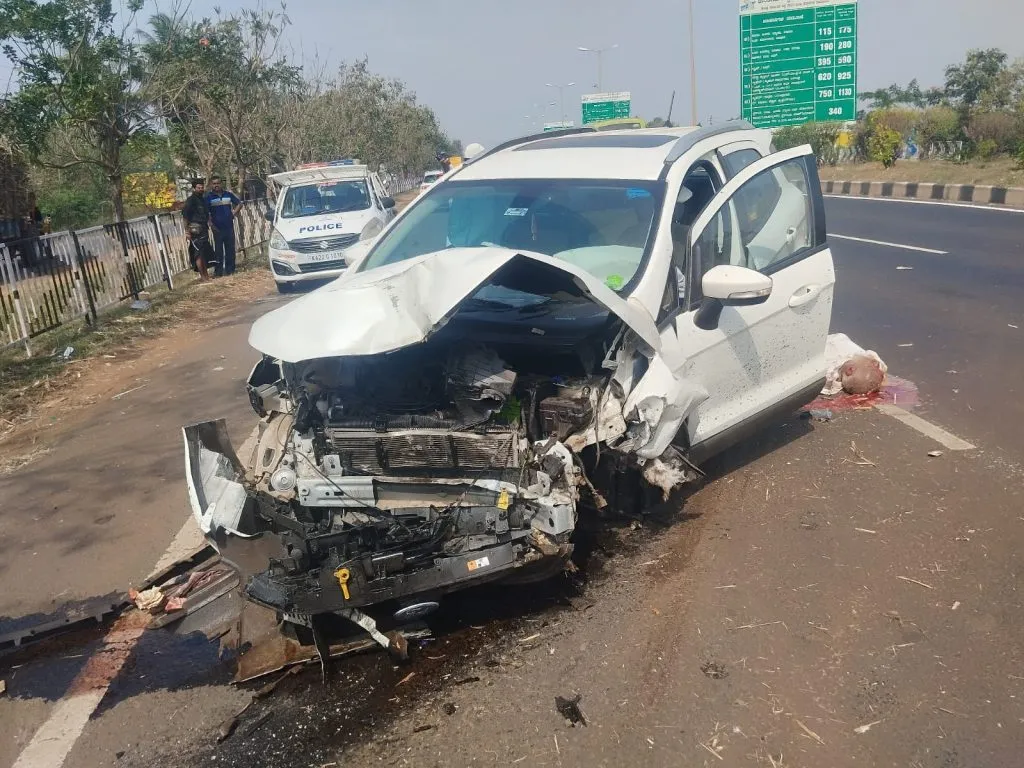 Elderly man from Kukkadoli killed on the spot after being hit by a speeding car