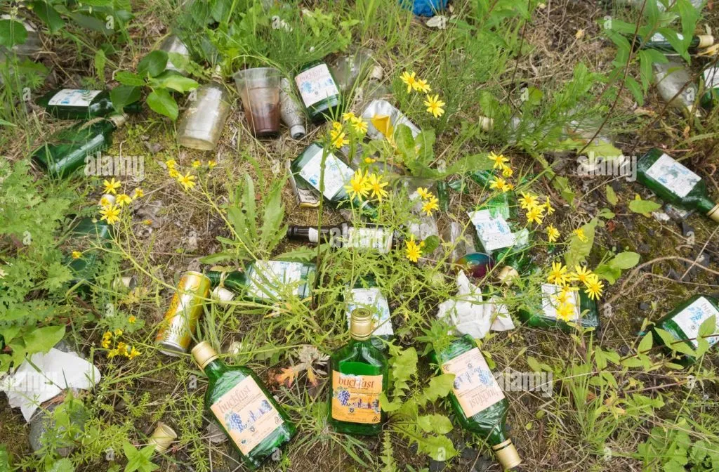 Fun on December 31st and punishment for farmers