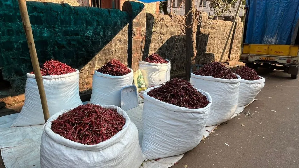 Red chillies preferred in retail market