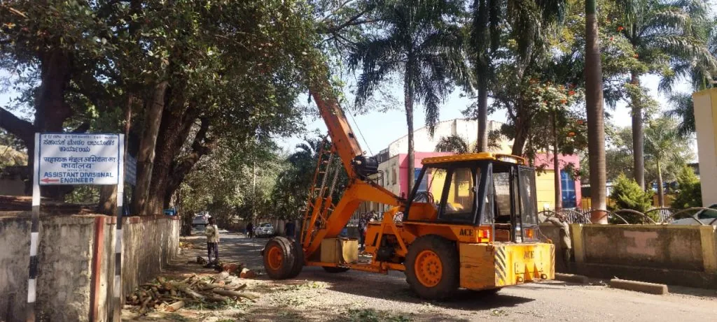 स्टेशन रोडवरील धोकादायक वृक्षाच्या फांद्या हटविल्या Dangerous tree branches removed from Station Road