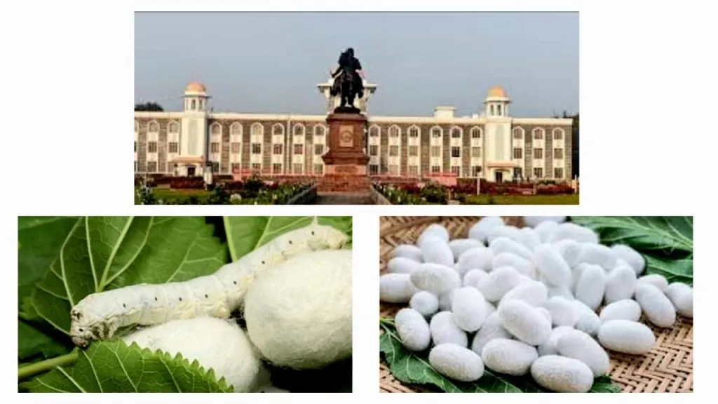 Emphasis on sericulture research at the university