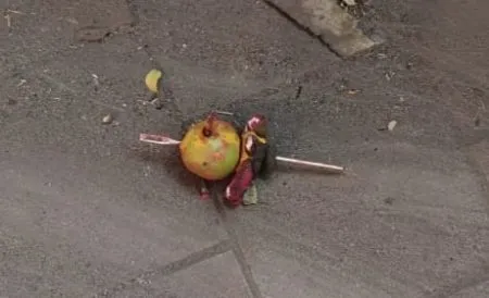 काळी बाहुली.. लिंबू अन् फुकटची कमाई Black doll.. lemon and free money