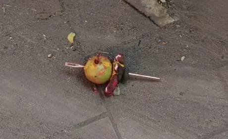 Black doll.. lemon and free money