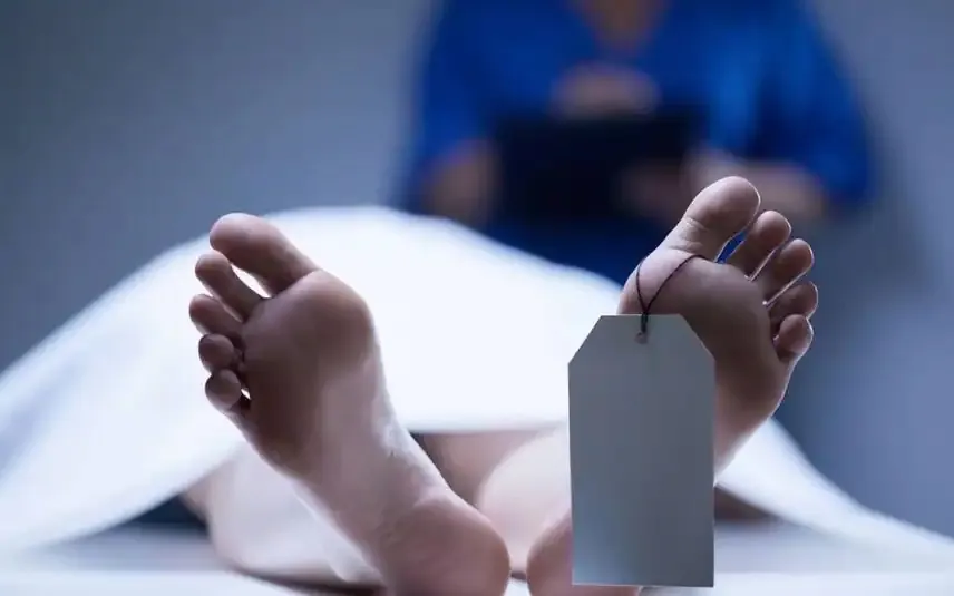 A hefty salary for a unique job