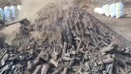 Coal kilns destroyed on the Terav-Adare village border