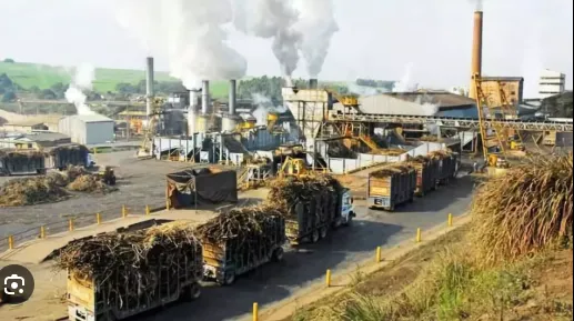 338 lakh tonnes of sugarcane crushed across the state