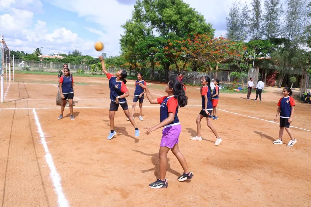 Old game, new identity! Throwball