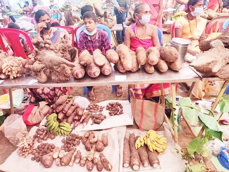 Kandmulle Food Festival inaugurated today