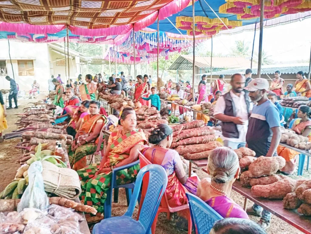 Spontaneous response to the gathering due to tubers