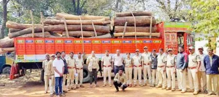 Two arrested for transporting stolen timber