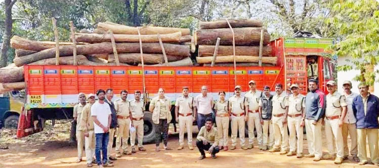 Two arrested for transporting stolen timber