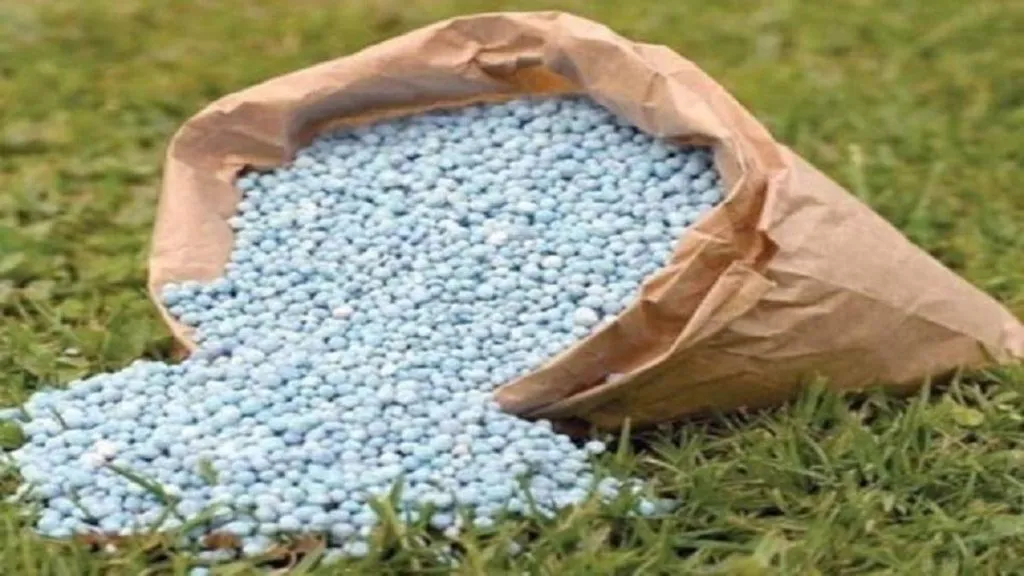 Savings of Rs 8.77 crore due to 'DAP' fertilizer subsidy