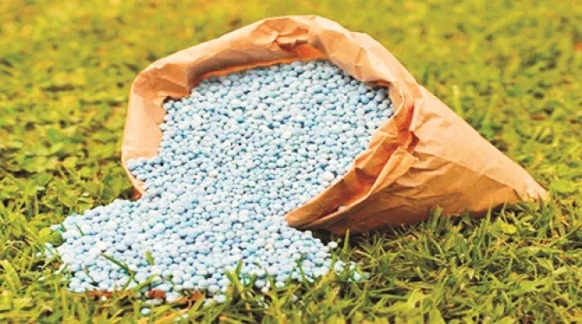 'Linking' of 40 thousand on urea of ​​60 thousand
