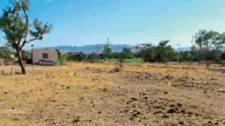 Encroachments focus on the role of 'Mahayuti'