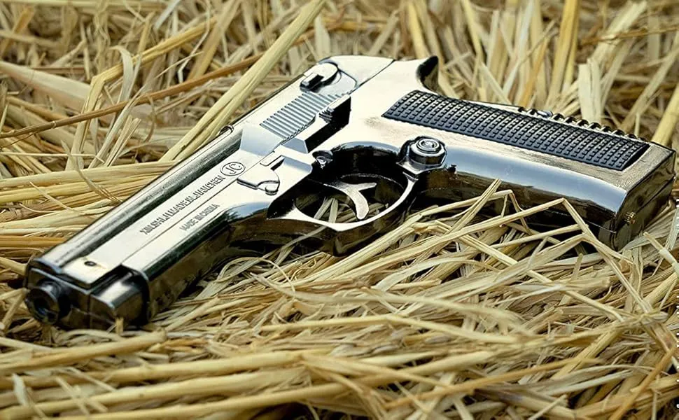 दापोलीत सापडले गावठी बंदूक, पिस्टल Village gun, pistol found in Dapoli