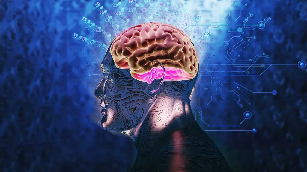 Increasing levels of microplastics in the human brain