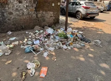 When will the plastic ban on paper actually take effect?