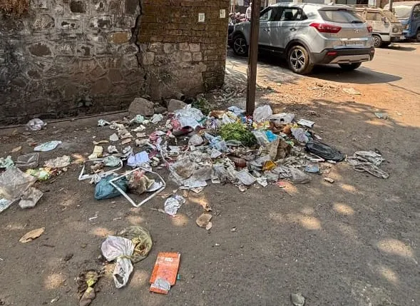 When will the plastic ban on paper actually take effect?