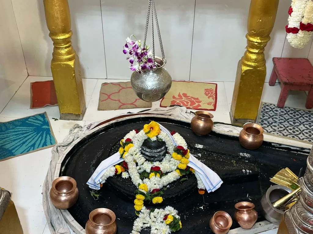 Mahashivaratri celebrated with devotion in the city area