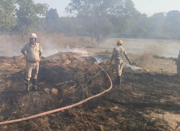 Ten trolleys of grass burnt to ashes in Shedegali