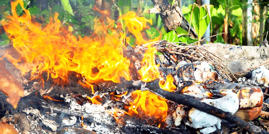 Kinds of burning instead of picking up garbage