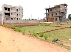 कोल्हापुरातील तीनशेपेक्षा अधिक प्रकरणांना दिलासा Relief for more than three hundred cases in Kolhapur