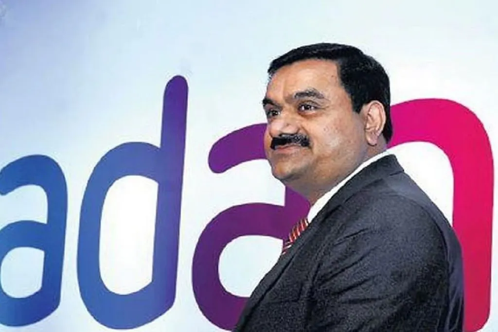 Allegations in the Adani case: 'Meaning' and 'mischief'