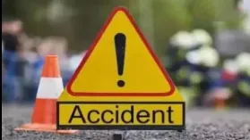 Biker and horse killed in accident