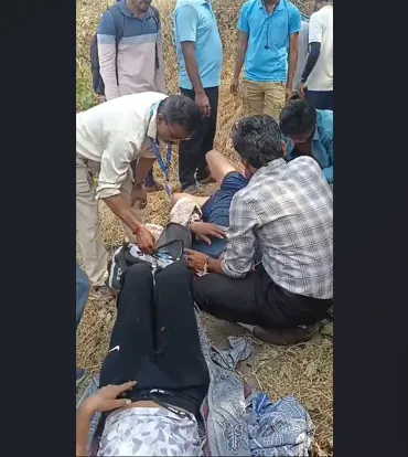 Bees attack youth who went to Pandavgad