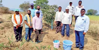 Initiative of the 'See-Trees' team for tree conservation