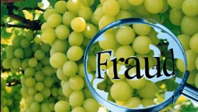 द्राक्ष व्यापाऱ्याकडून दीड कोटींचा गंडा Grape trader cheated of Rs 1.5 crore