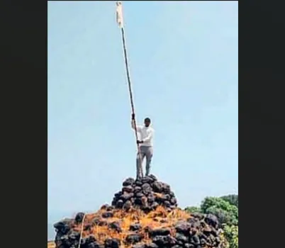 The fluttering white swan, forest and science