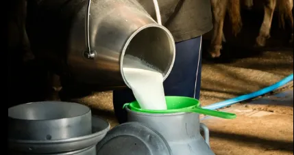 18 crores of milk subsidy is due