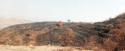 The mountain ranges were blackened by the wildfires.