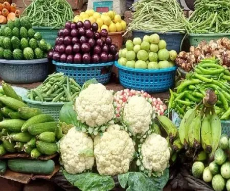 240 ग्रॅमपेक्षा अधिक भाज्या खाल्ल्यास कॅन्सरचा धोका कमी Eating more than 240 grams of vegetables lowers cancer risk