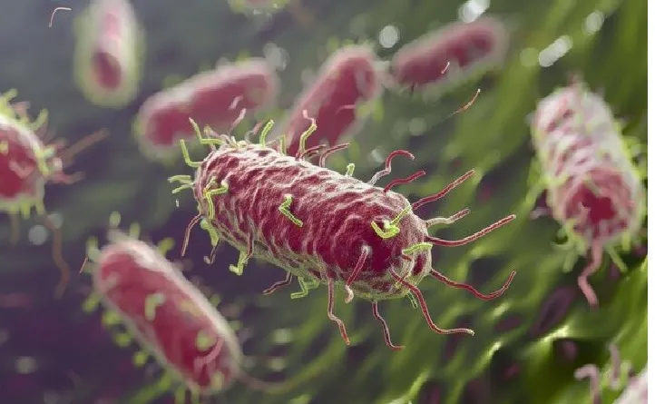 व्हायरसद्वारे अँटीबायोटिक विकसित करणार Antibiotics will be developed through viruses