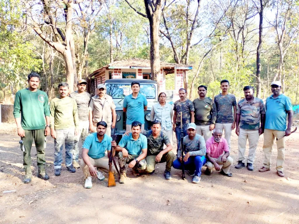 Traveling ten to twelve kilometers every day to beat elephants