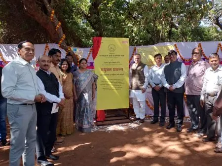 Proposal for bee venom collection