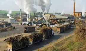 Sugar industry's expectations shattered