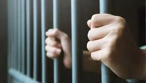 Three people, including a woman, arrested for transporting marijuana