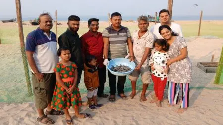 ९९ आँलिव्ह रिडले कासव पिल्ले सागरात झेपावली