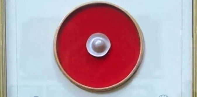 Success in pearl farming at Shivaji University