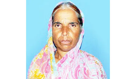 Elderly women dies after being hit by vehicle while crossing road