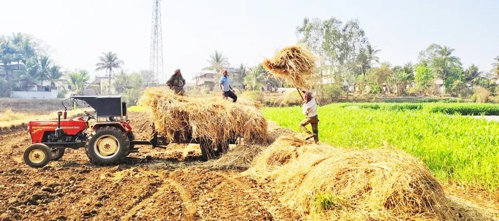 The issue of dry fodder for animals has become serious.