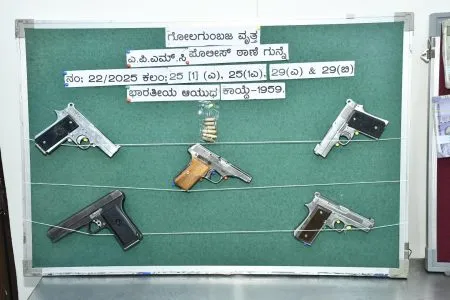 पाच गावठी पिस्तूल, सहा काडतुसे जप्त Five village pistols, six cartridges seized